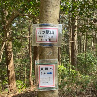 八ツ尾山登頂⛰️
鈴鹿50座40座目