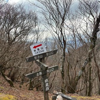 峨蔵越（がそうごえ)
ここで小休止 ♪