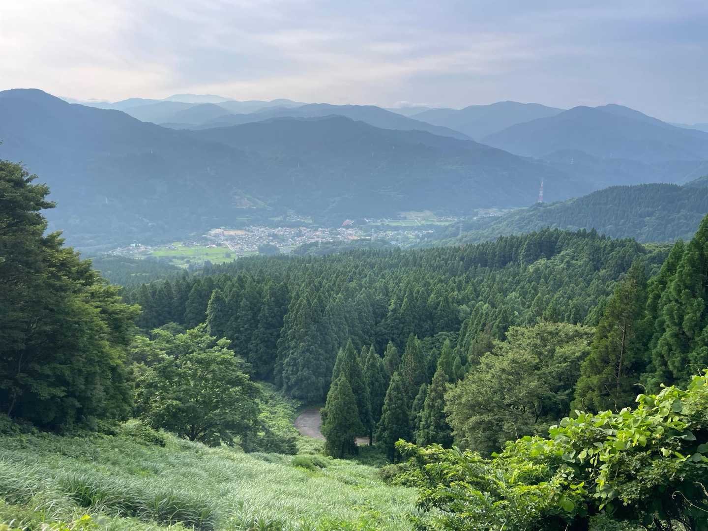 大乗悟山登り口-大乗悟山-笹津山 周回コースの写真