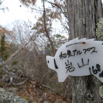 ピーク⑤🐗🪨