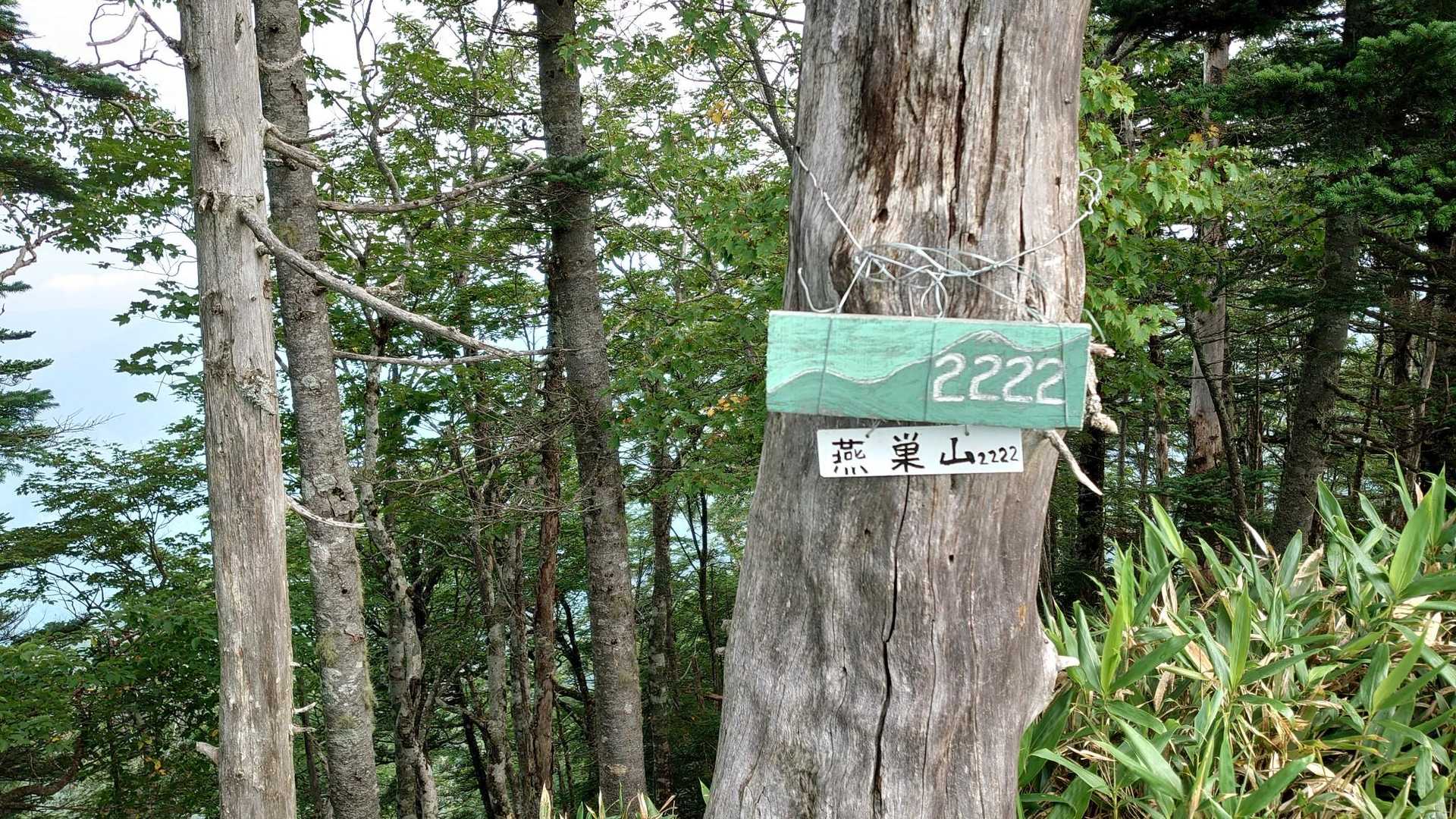 四郎岳・燕巣山登り口-燕巣山-四郎岳 往復コースの写真