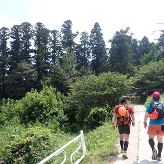 山頂から1時間ジャストで無事下山！