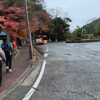 バスに乗って伊勢原駅へ
今日もお疲れ様でした。🤗