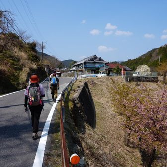 初めは舗装路を行きます