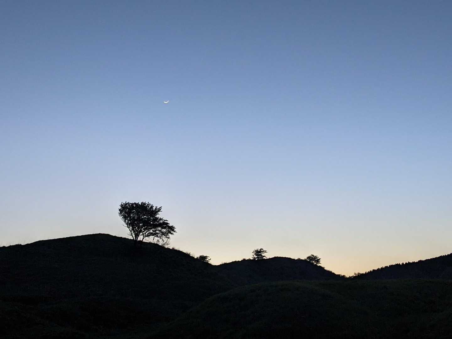 着いたら下弦の月がキラキラ輝いていました🌙