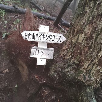 ①
撮れ高は少ないのでこの標識を10/10まで撮る