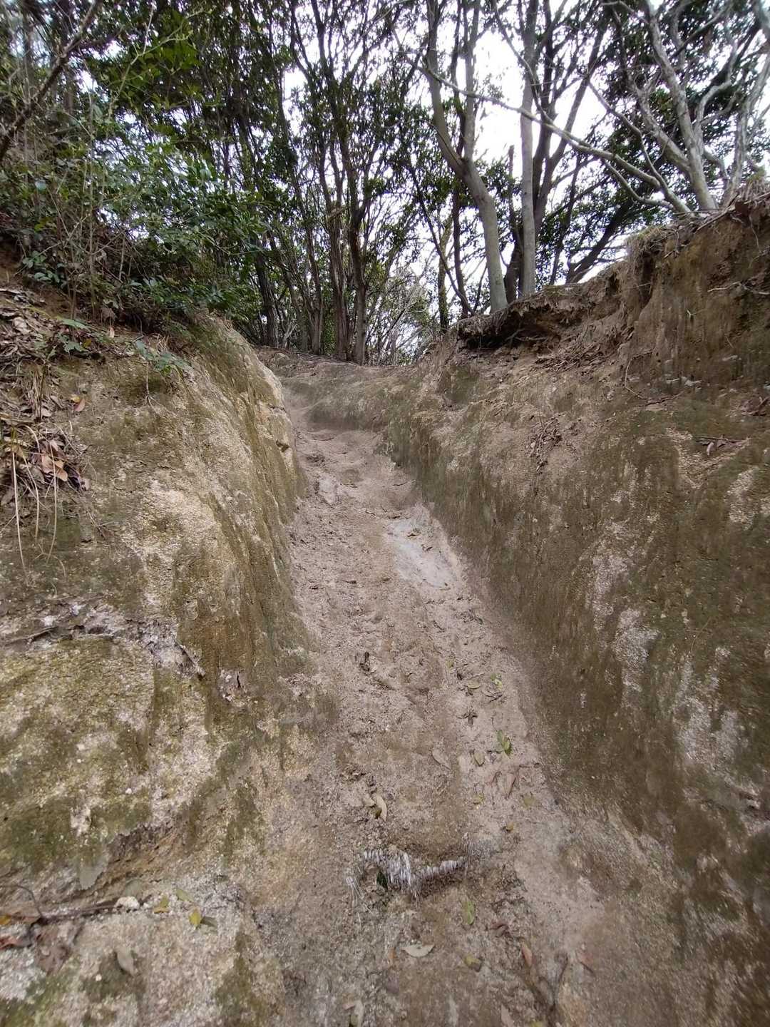 また土器山に行きたいなぁ‥