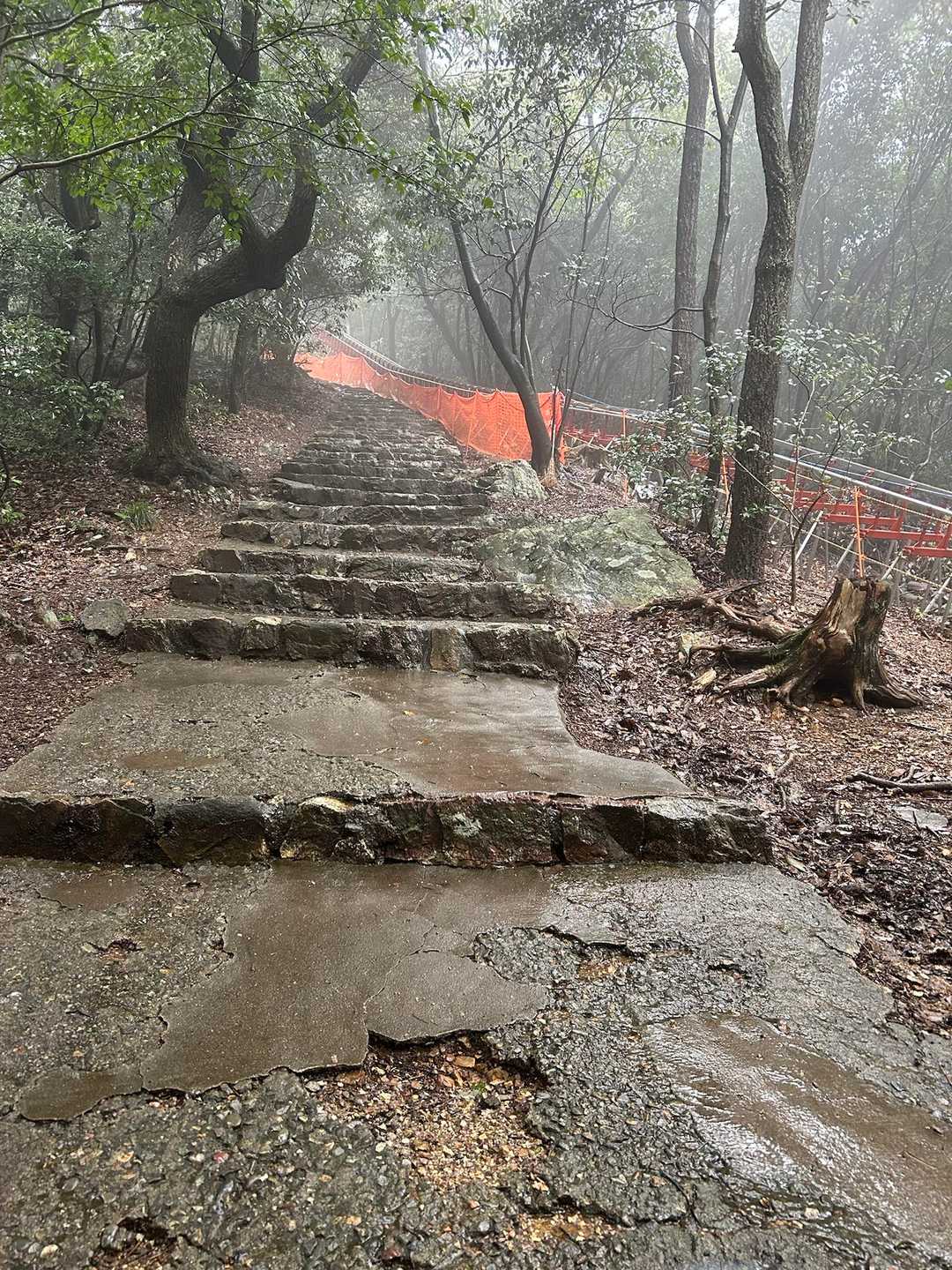 七曲り登山道の苦手な石階段😅