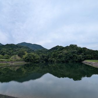 暑さに負けて写して帰ります🧑‍🦯👩‍🦯🧑🏼‍🦯