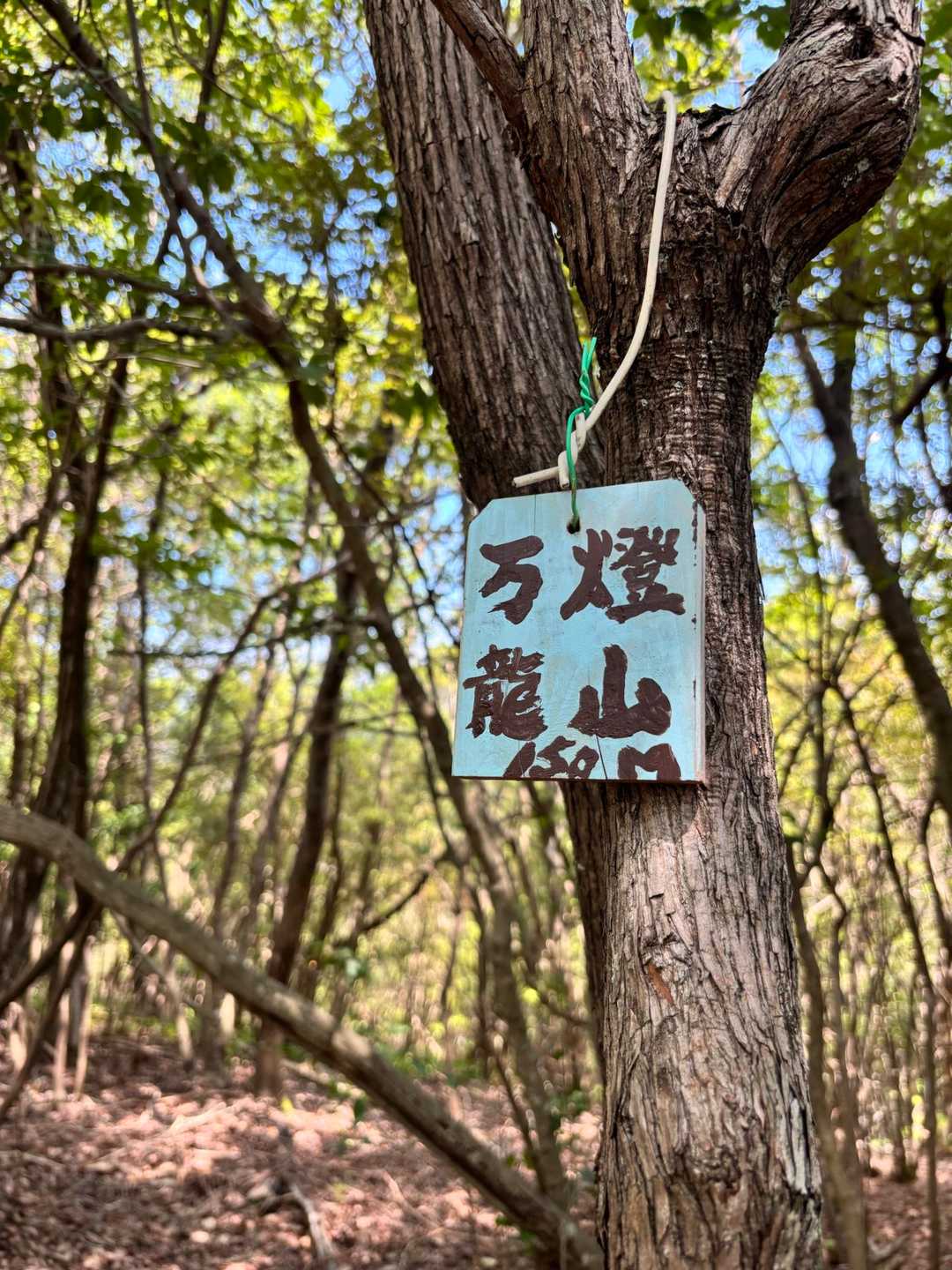 万燈篭山