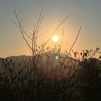 ☆*:.｡. o(≧▽≦)o .｡.:*☆