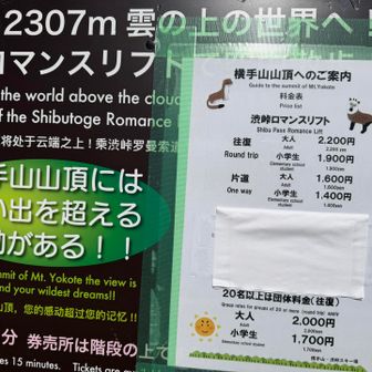 自力歩行で2,200円浮かせた😛