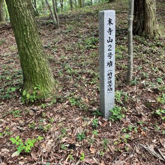 ここが山頂ぽい