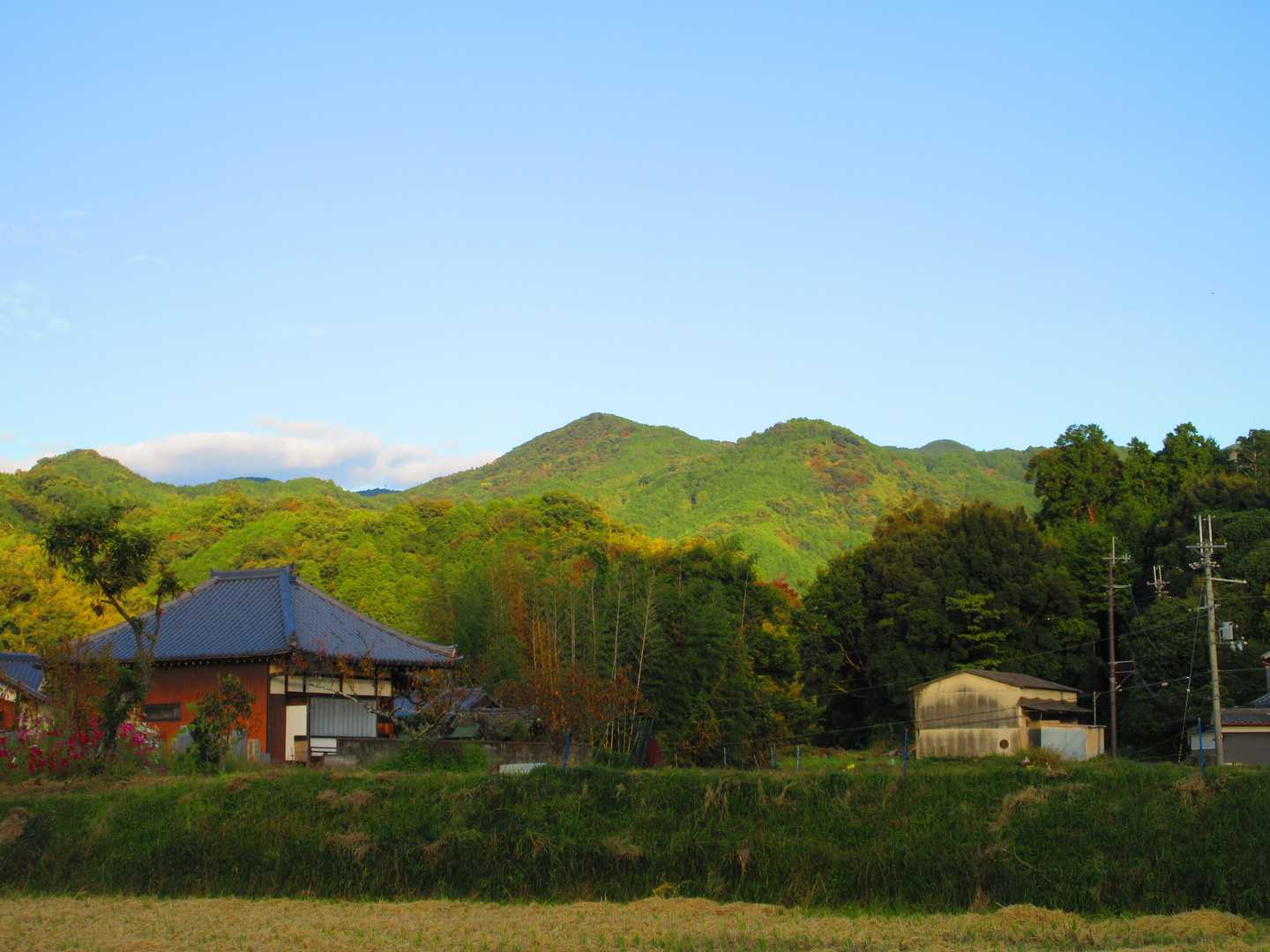 大国見山(左)