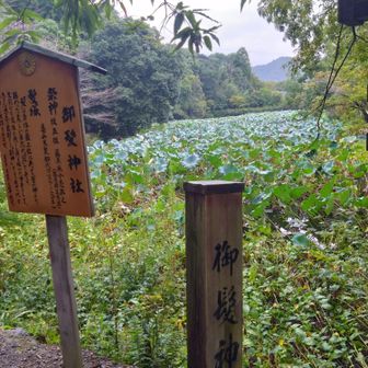 髪の神社?