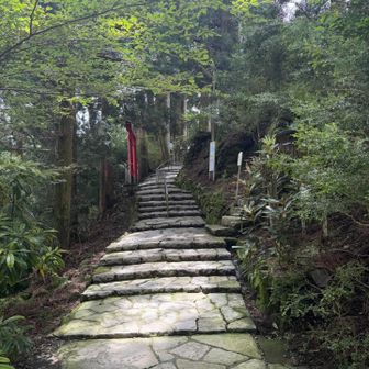 情緒あるよね神社って
安全祈願でお参り完了