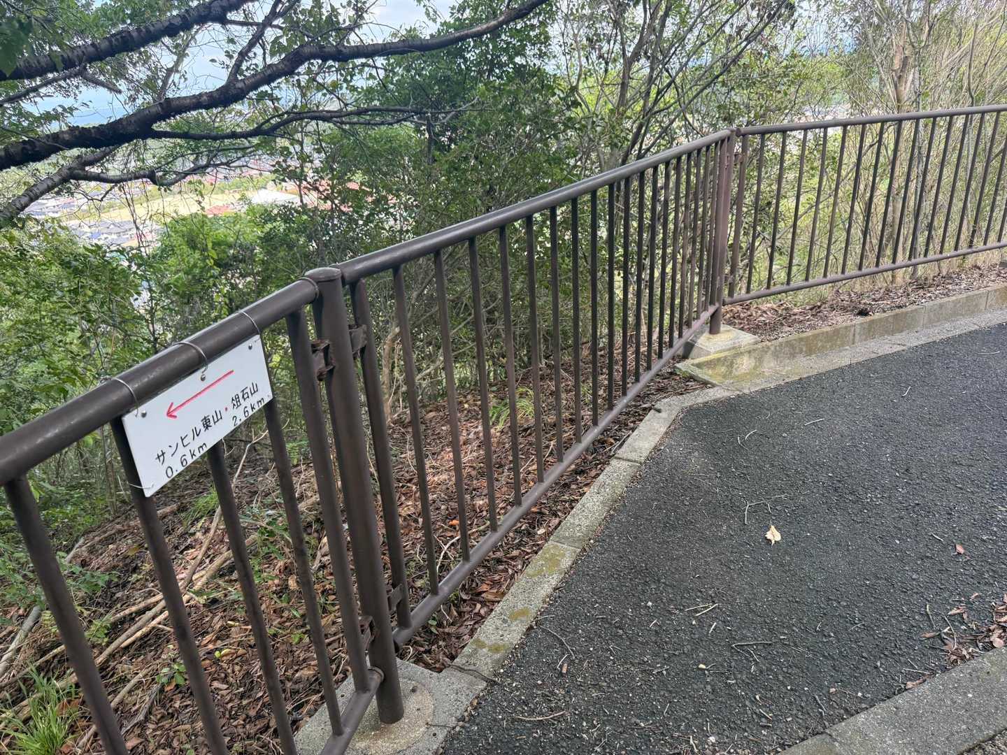 駐車場に戻ってきました
ここから俎石山まで2.6kmなのでメインのルートより短いです
このルートを使う人が昔より少し増えたように思います😊