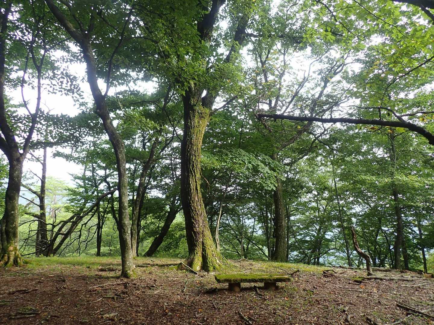 いい雰囲気