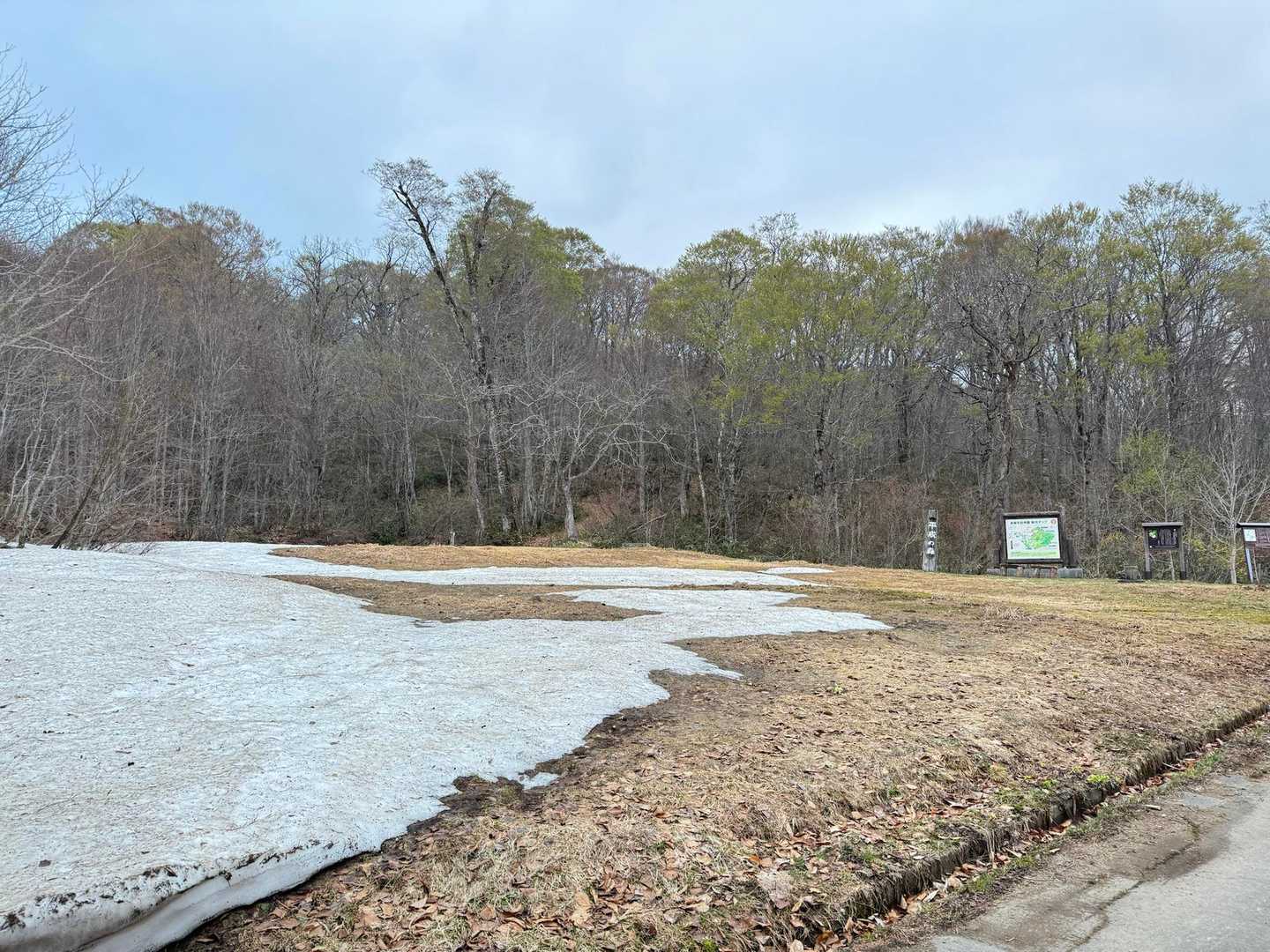 約30分のロード歩きを経て登山口

雪が全然なーい