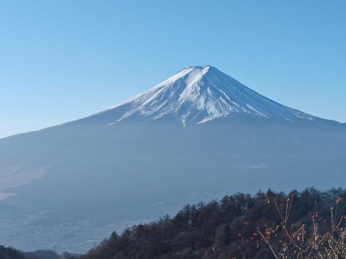快晴の富士山٩(๑>∀<๑)۶
これ見れただけで結構満足してたのは内緒の話 笑
