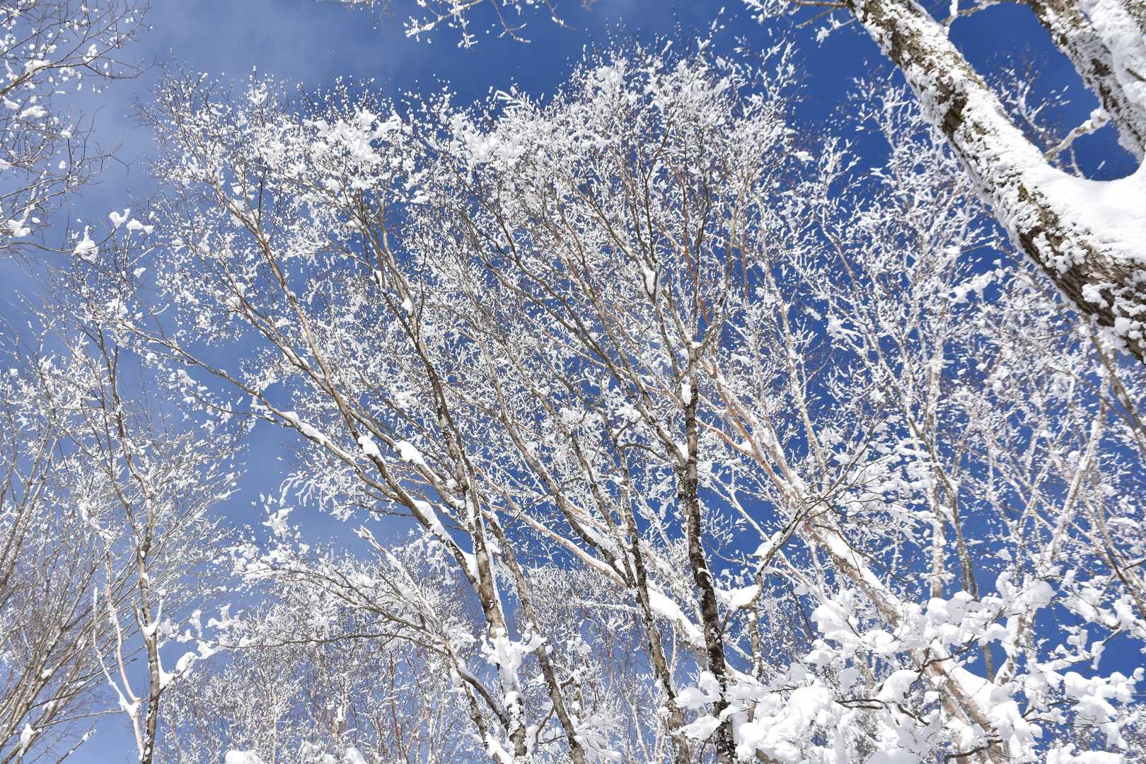 南沢山登山道入口-南沢山 往復コースの写真