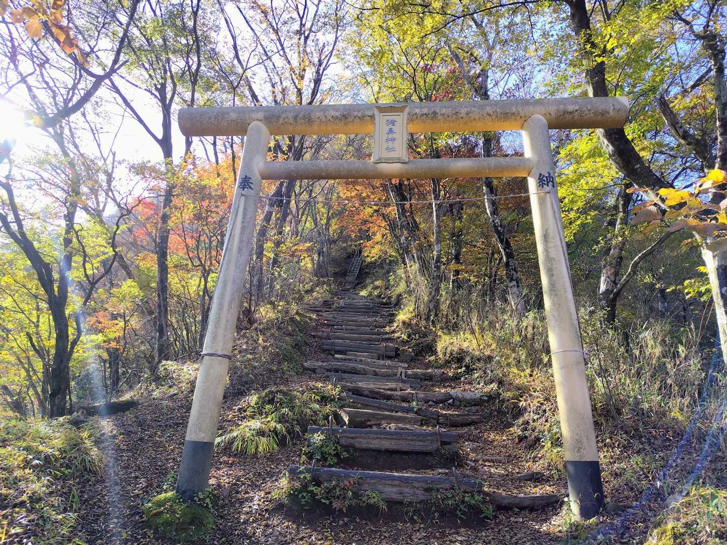 鳥居も秋的な佇まいです。