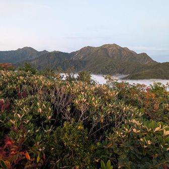 右が越後駒、左奥が中ノ岳
