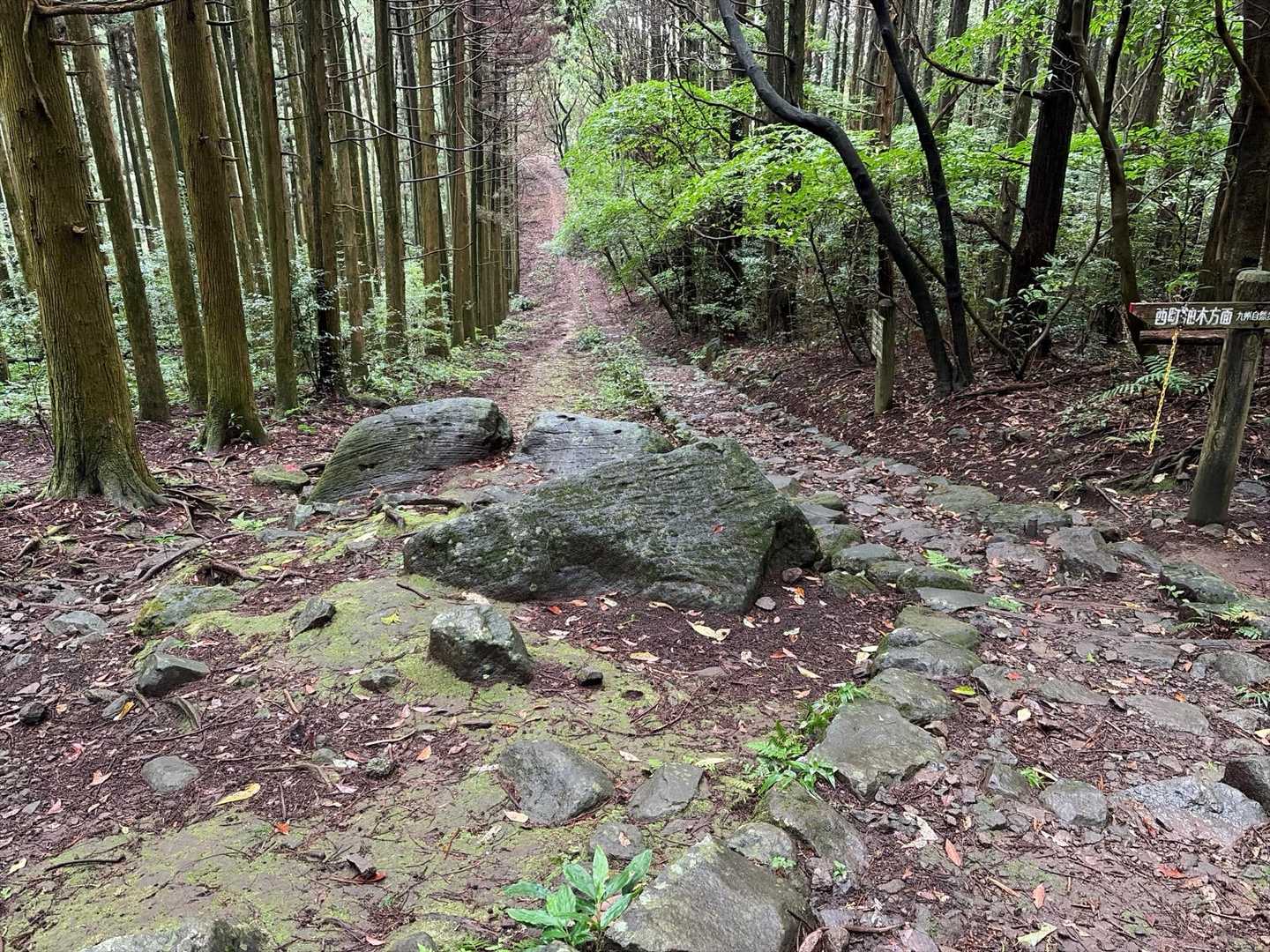 いつも間違うところ。
今日は間違わなかった。
ここを左折。