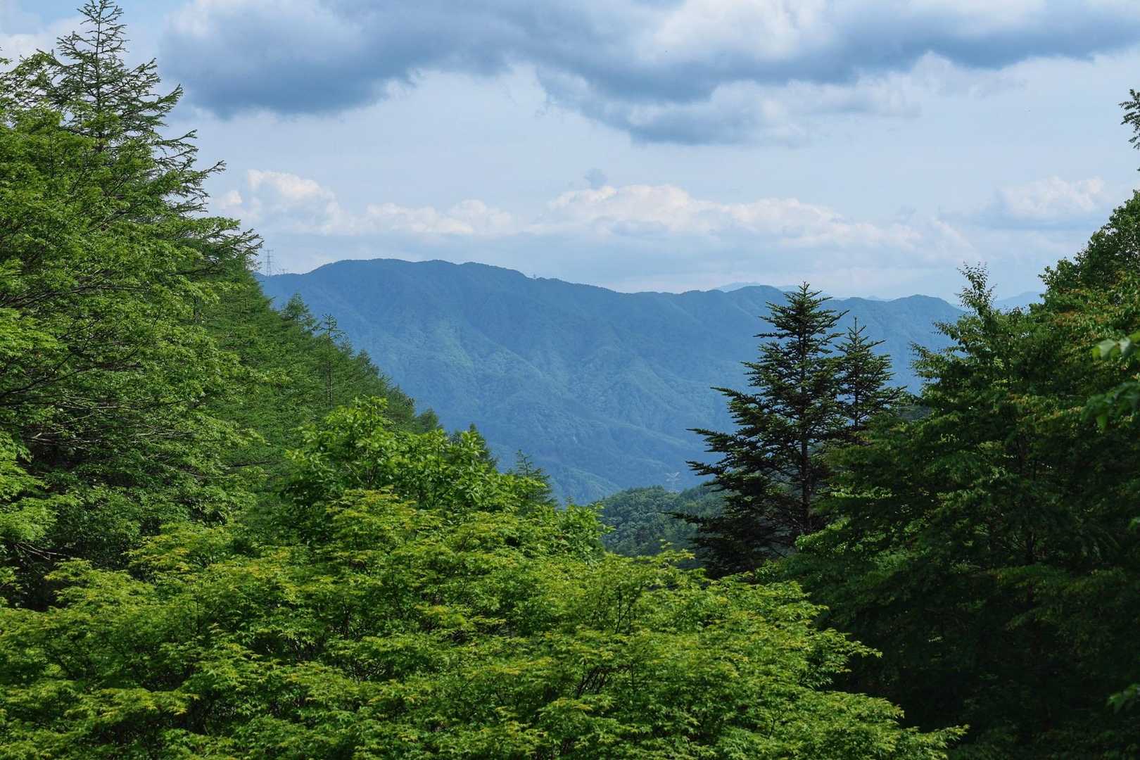 最後まで富士山見えず残念