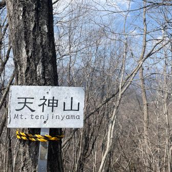 天神山到着⸜(*ˊᗜˋ*)⸝
眺望は微妙…