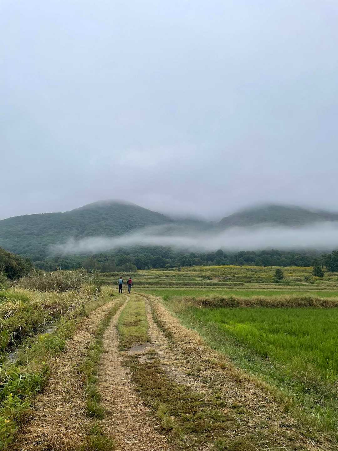 麓は、雲がかかっていい雰囲気
晴れてくれるかな？