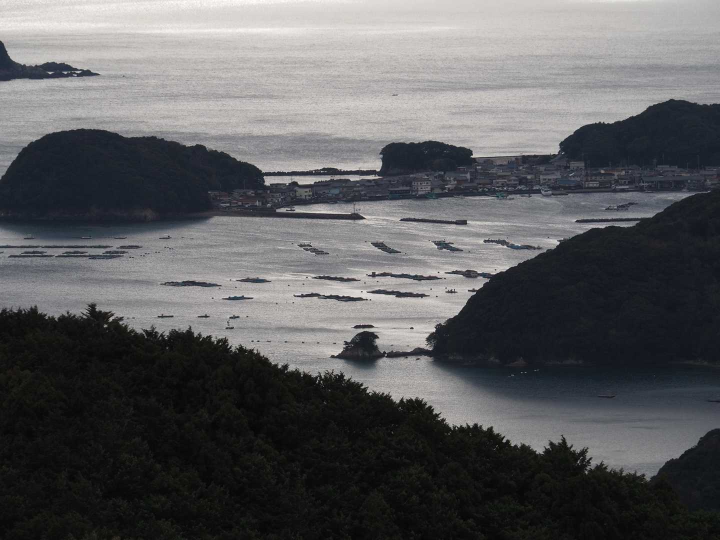 入江に養殖筏がたくさん浮かんでいる