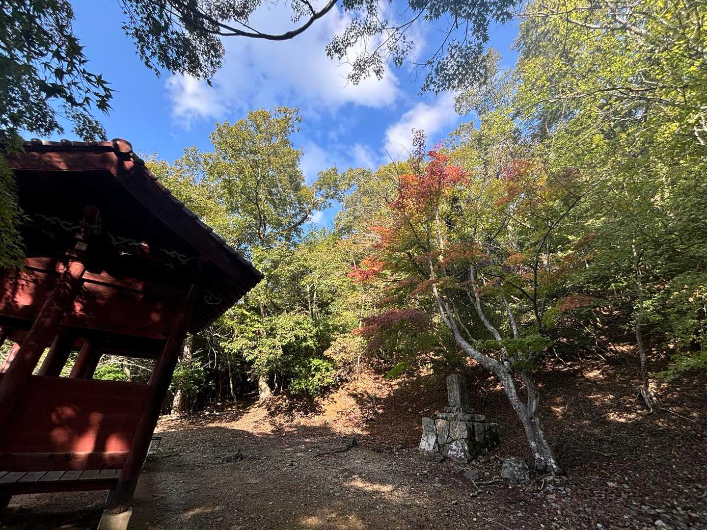 ほんのり紅葉