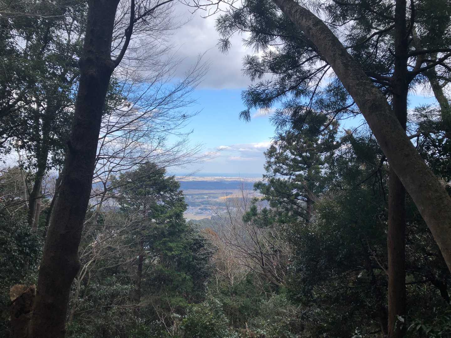 初ビュー✨