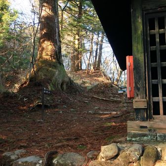 初めて来た時は入り口少し迷いました
行者堂の脇が登山口です