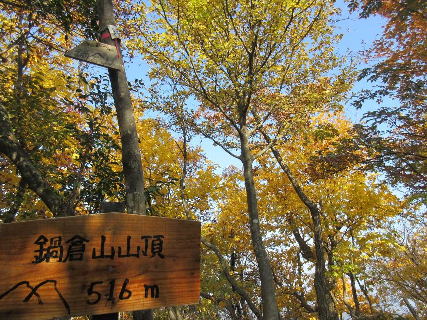 新しい看板が　できてたよ👏
