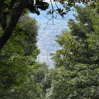 大日山北側の丸太ベンチからの眺め