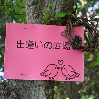 あったー今日も、