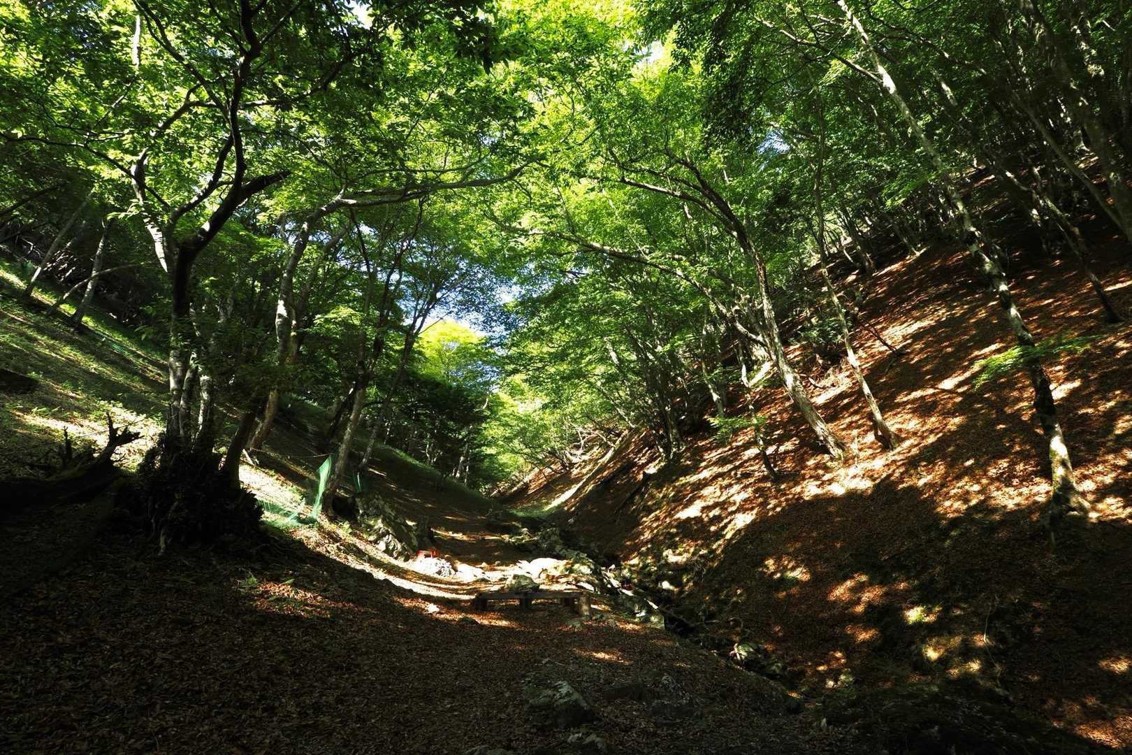 谷筋に心地よい風が吹いて、いいところに小屋があるなあって感じました