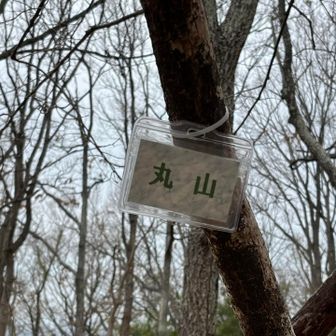 丸山

この山名板見つけにくかった
広場の真ん中くらいの木にありました
頂上広し
眺望無し