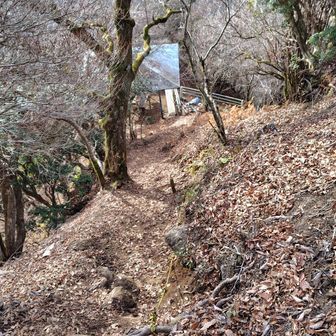 山頂から南側に降りて行く
急斜を下りると東屋がある
夏にミートスパを作って食べた
美味しかった
ヶ峰でもいろいろ作って食べました