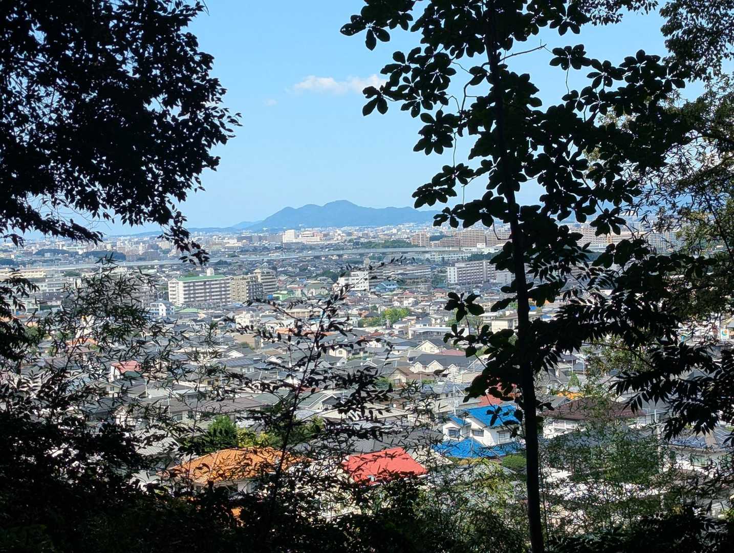 今日も立花山がよく見える☺️