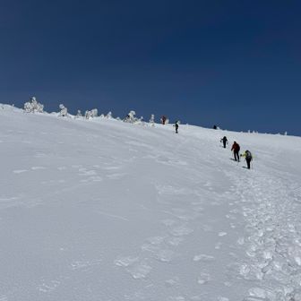 終始パウダースノー❄️