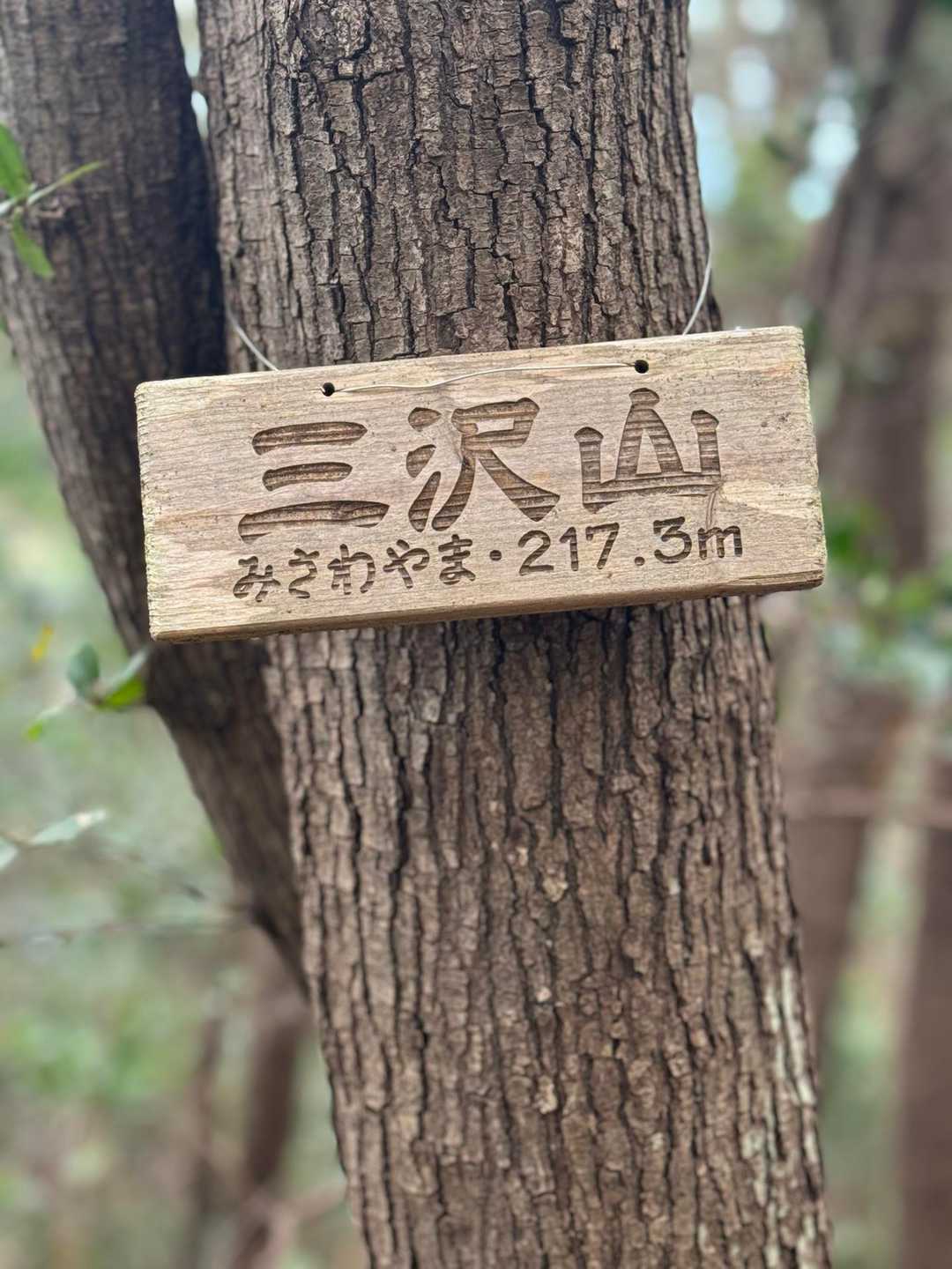三沢山⛰️