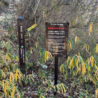 この注意書、その通りです