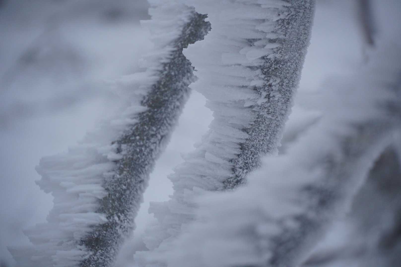高見山登山口-高見山 縦走コースの写真