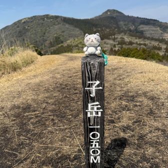 子岳🏔️とうちゃこ🤗🎉