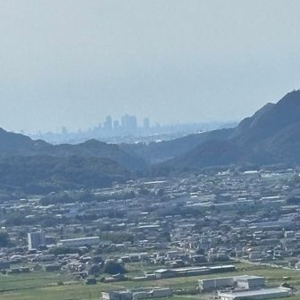 名古屋ビル群見えます🏙️