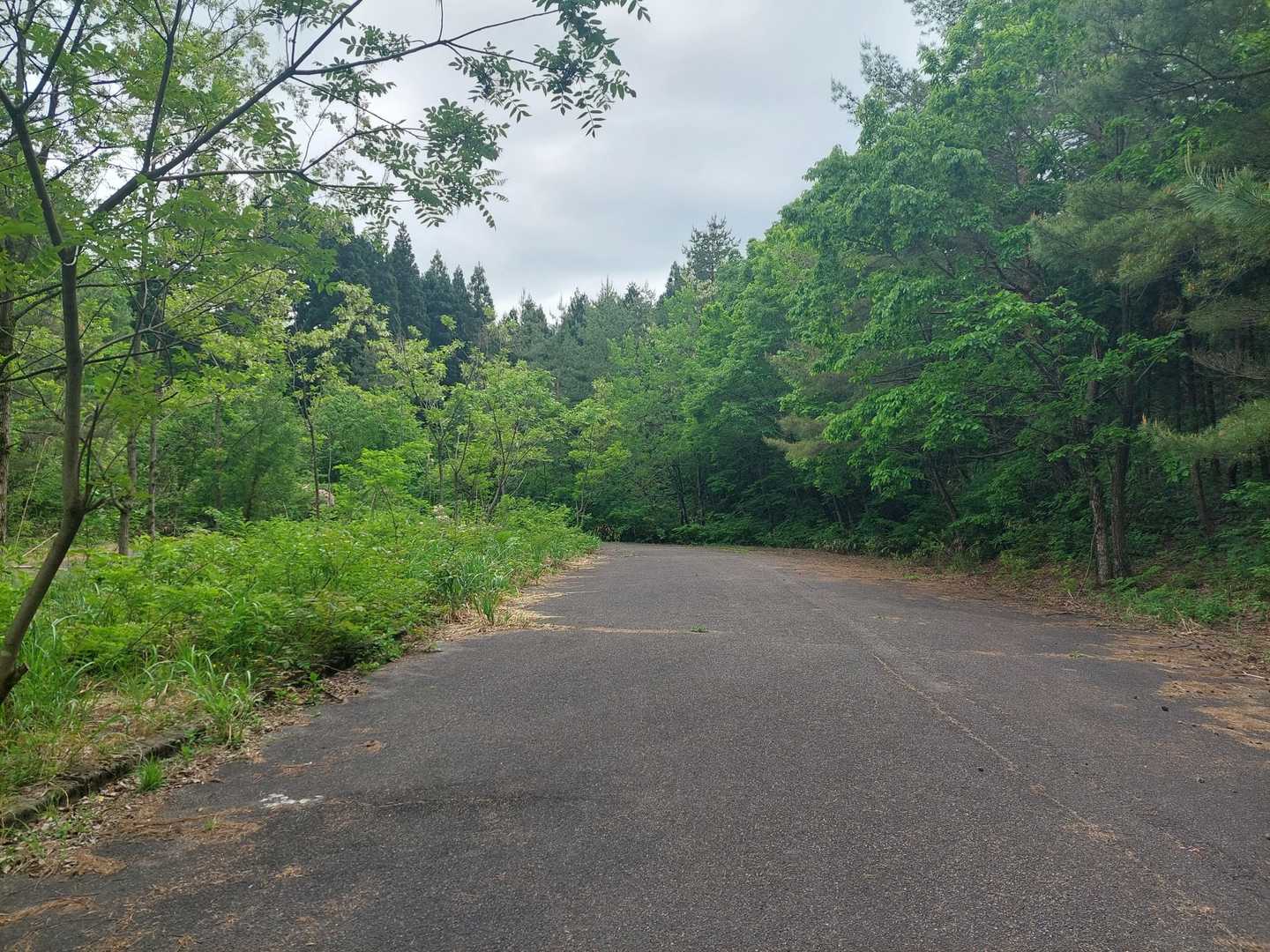 駐車場🅿️🚗到着！ 林道長すぎ😱