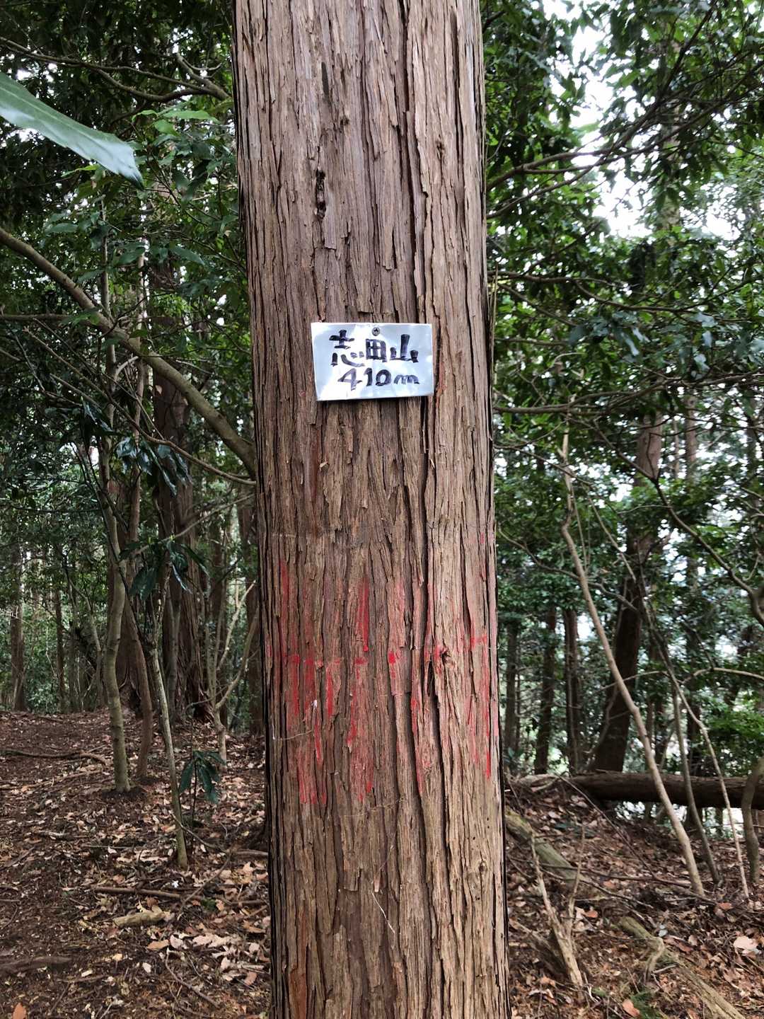 志田山⛰